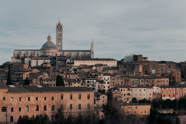 Sienna 21.1.2024-2